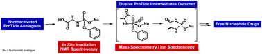 Reactive cyclic intermediates in the ProTide prodrugs activation: trapping the elusive pentavalent phosphorane